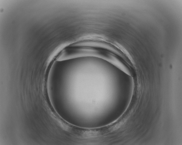 X0000082761277200702021426