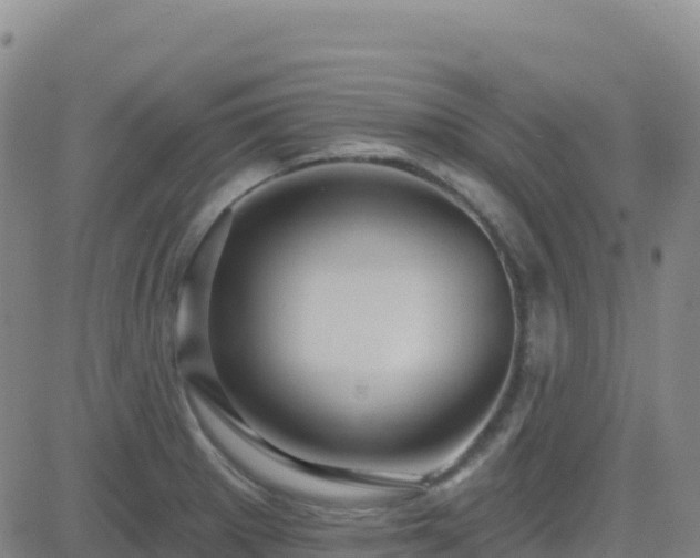 X0000082761281200702021426