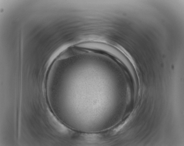 X0000082761293200702021426