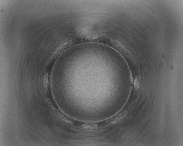 X0000082761299200702021425