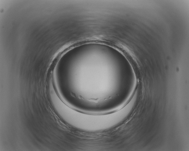 X0000082761308200702021425
