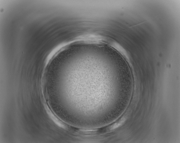X0000082761344200702021426