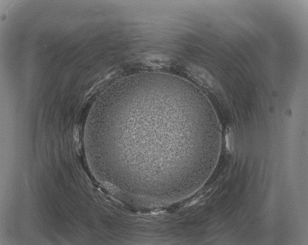 X0000082761347200702021425