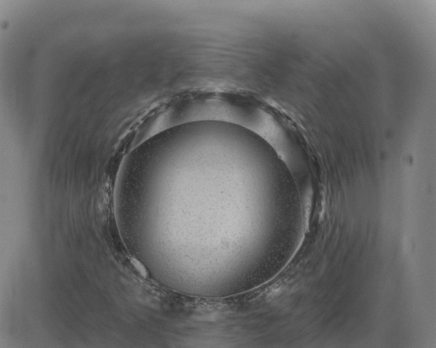X0000082761349200702021425