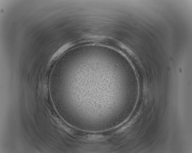 X0000082761354200702021425