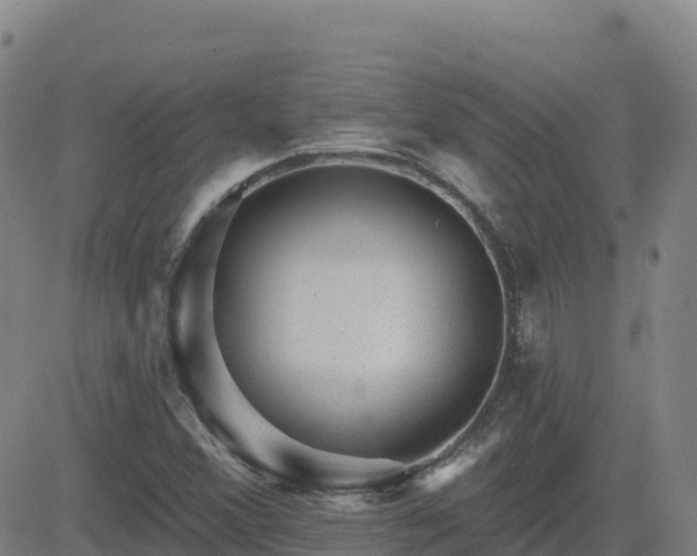 X0000082761356200702021425