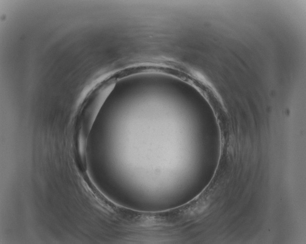 X0000082761360200702021425