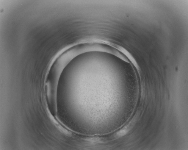 X0000082761388200702021424