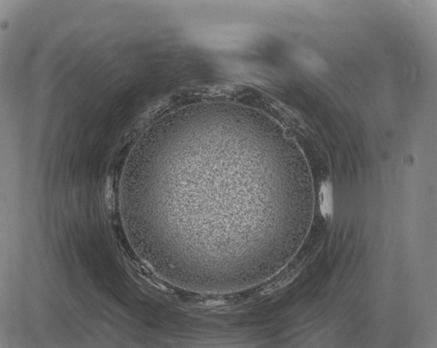 X0000082761395200702021424