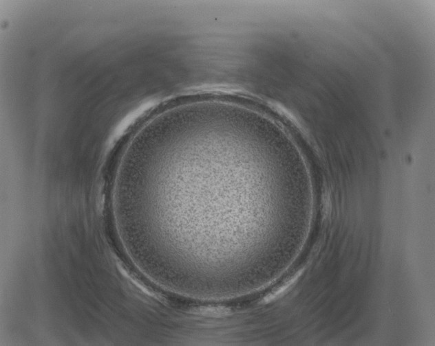 X0000082761406200702021424