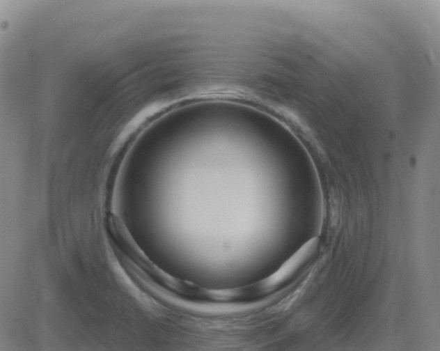 X0000082761422200702021424