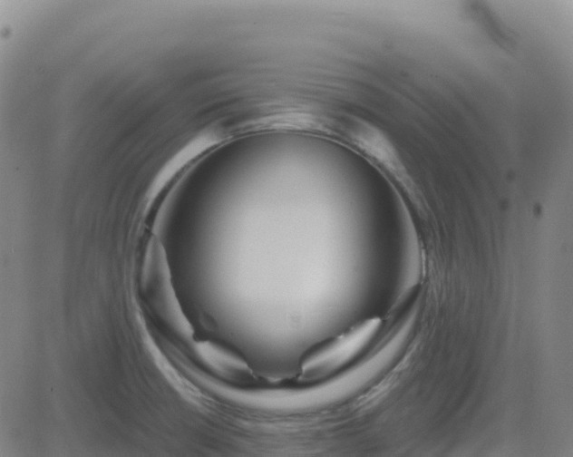 X0000082761426200702021424