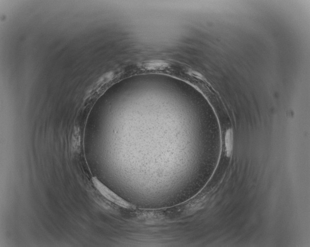 X0000082761443200702021424