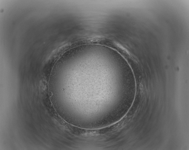 X0000082761447200702021423