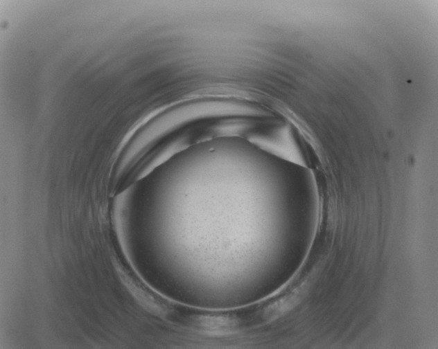 X0000082761465200702021423