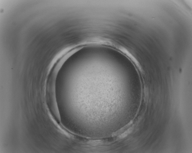 X0000082761477200702021423