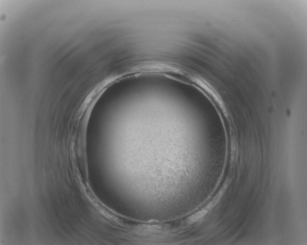 X0000082761481200702021423