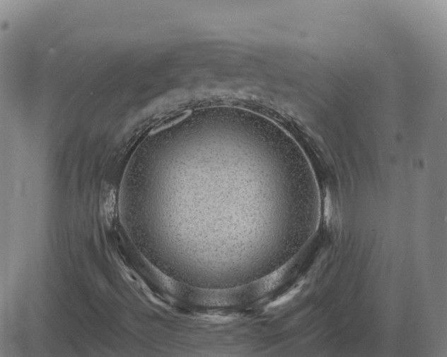 X0000082761492200702021422