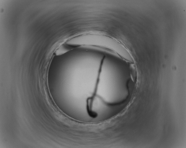 X0000082760001200702092005