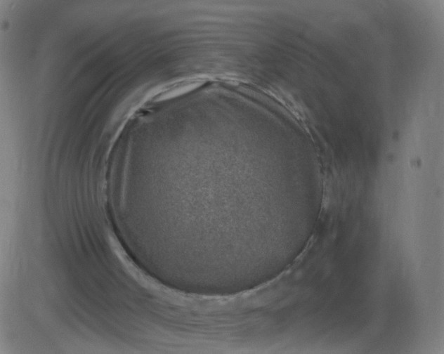 X0000082760002200702092005