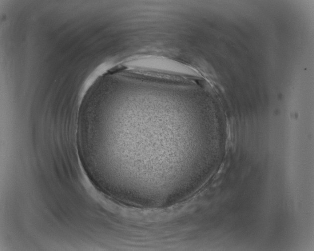 X0000082760003200702092005