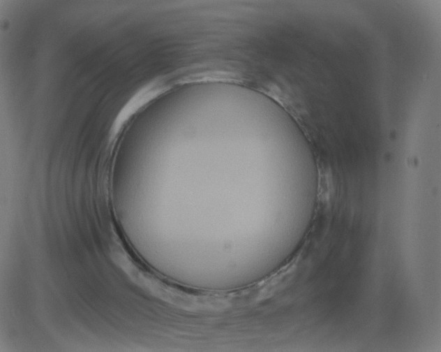 X0000082760004200702092005