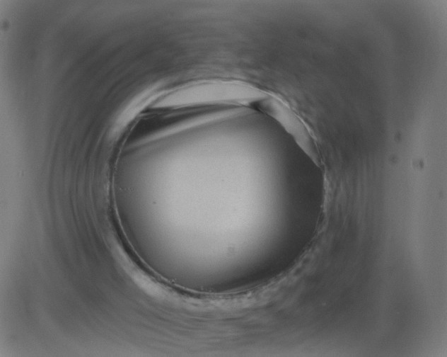 X0000082760005200702092005