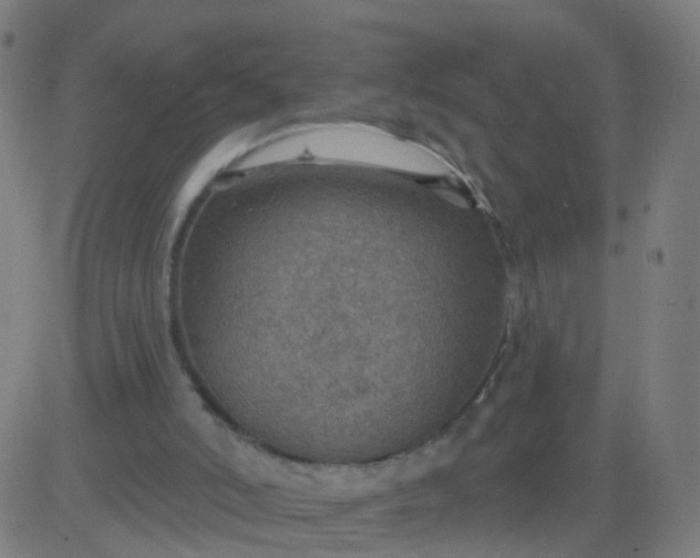 X0000082760006200702092005