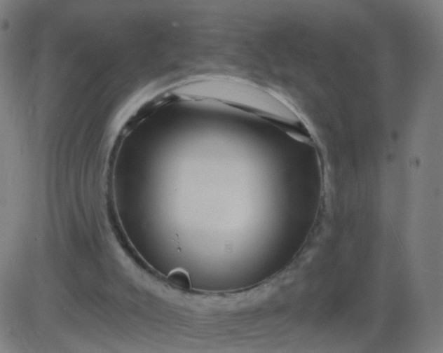 X0000082760007200702092005