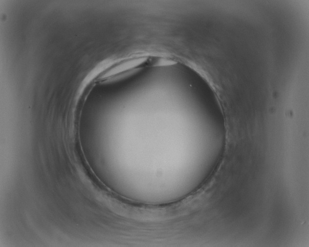 X0000082760008200702092005