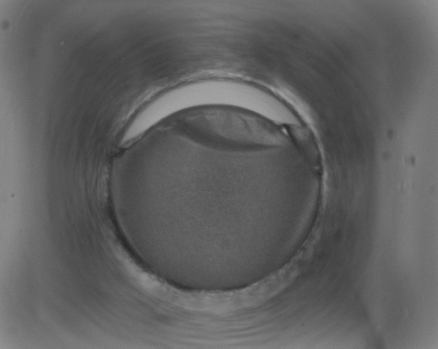 X0000082760009200702092005