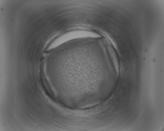 X0000082760010200702092005