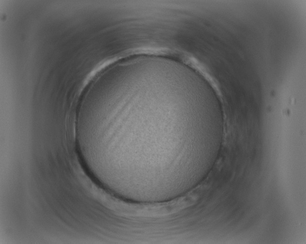 X0000082760011200702092005