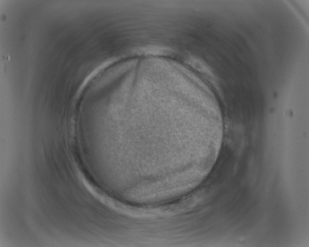 X0000082760012200702092005