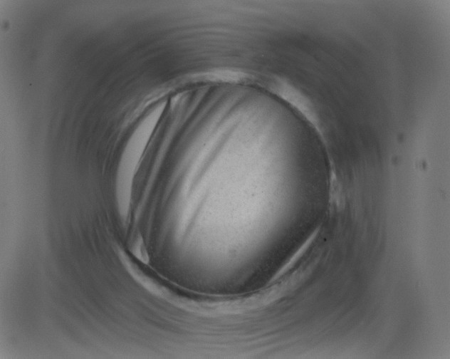 X0000082760013200702092005