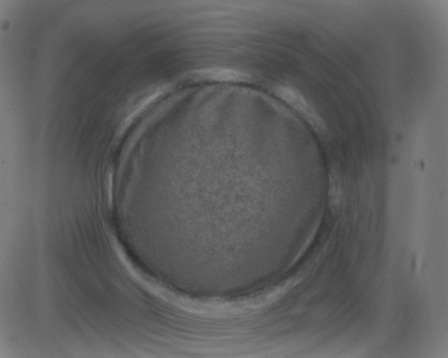 X0000082760014200702092005