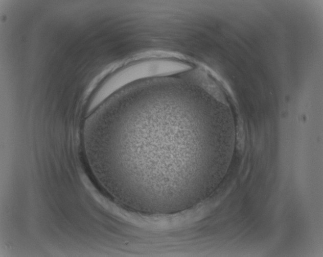 X0000082760015200702092005