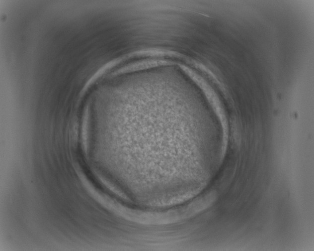 X0000082760016200702092005