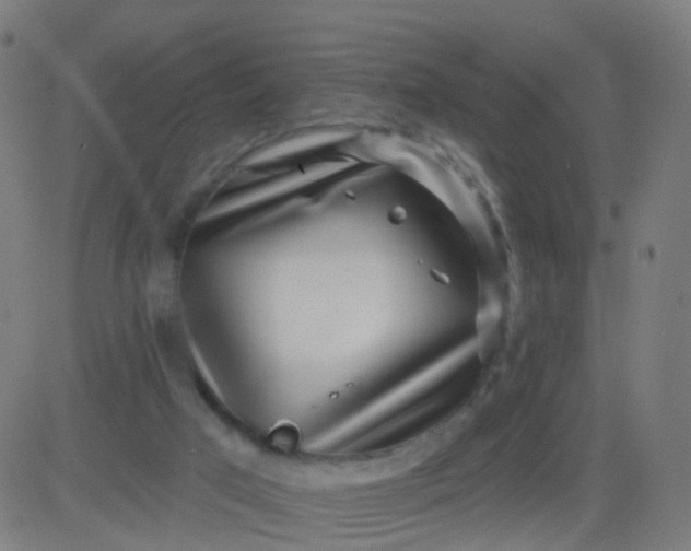 X0000082760017200702092005