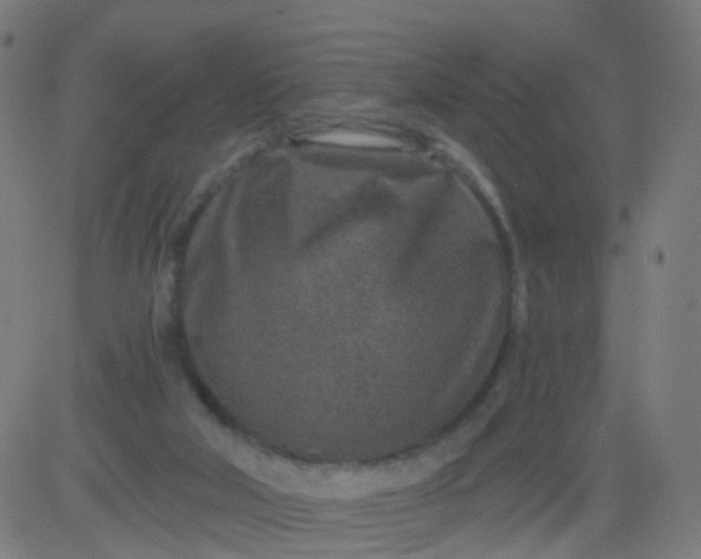 X0000082760018200702092005