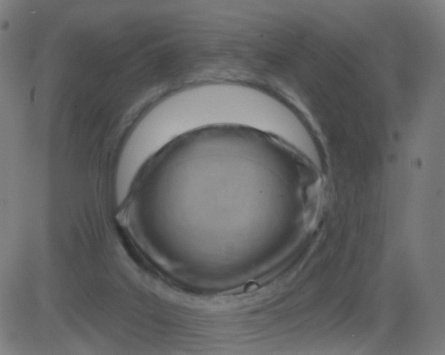 X0000082760019200702092005