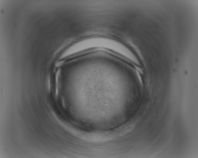 X0000082760020200702092005