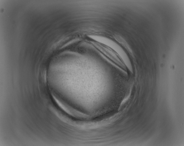 X0000082760021200702092005