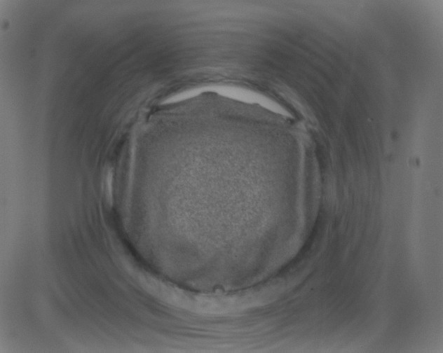 X0000082760022200702092005