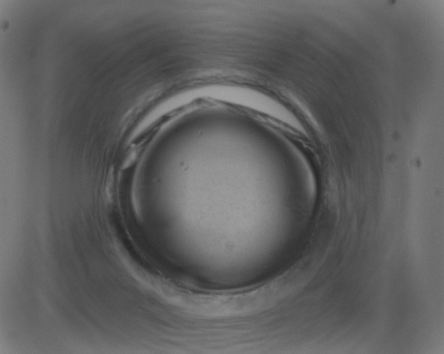 X0000082760023200702092005