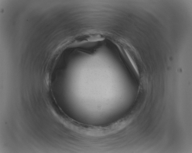 X0000082760024200702092005