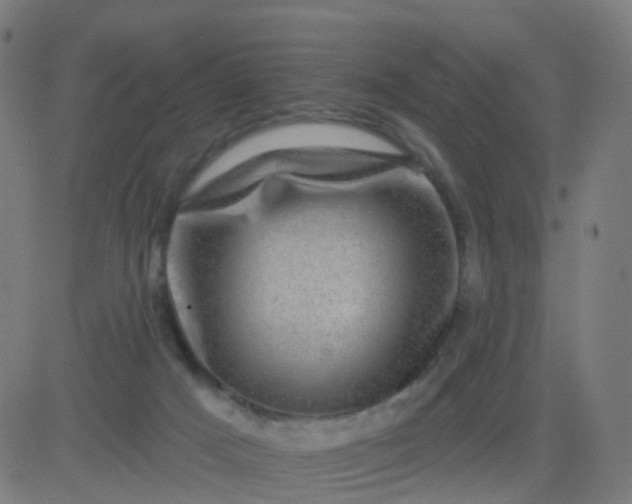 X0000082760025200702092005