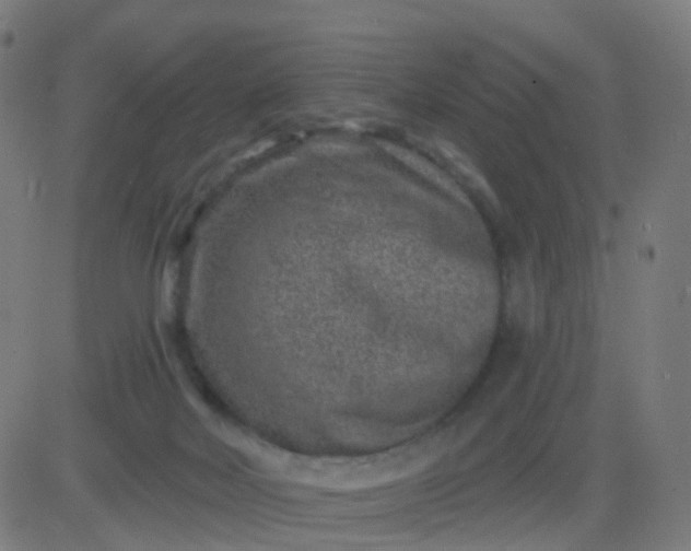 X0000082760026200702092005