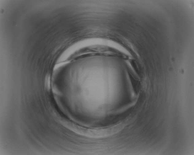 X0000082760027200702092005