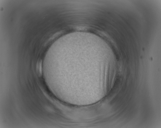 X0000082760028200702092005